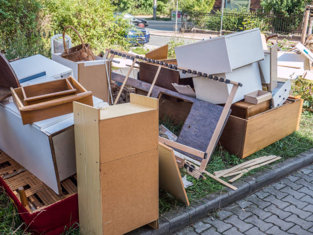 Best Appliance Removal Near Me  in Caledonia, MN